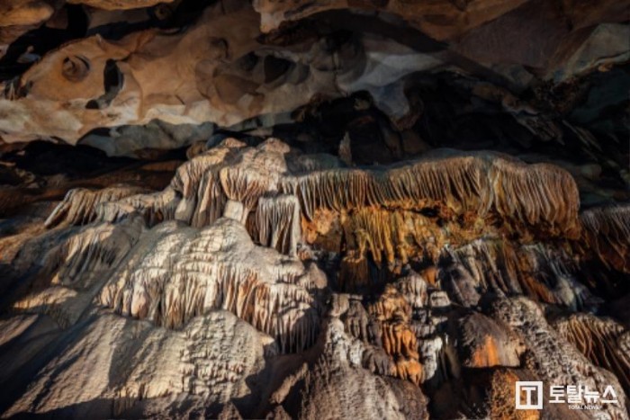 보도1)고수동굴(에어리언 종유석).jpg