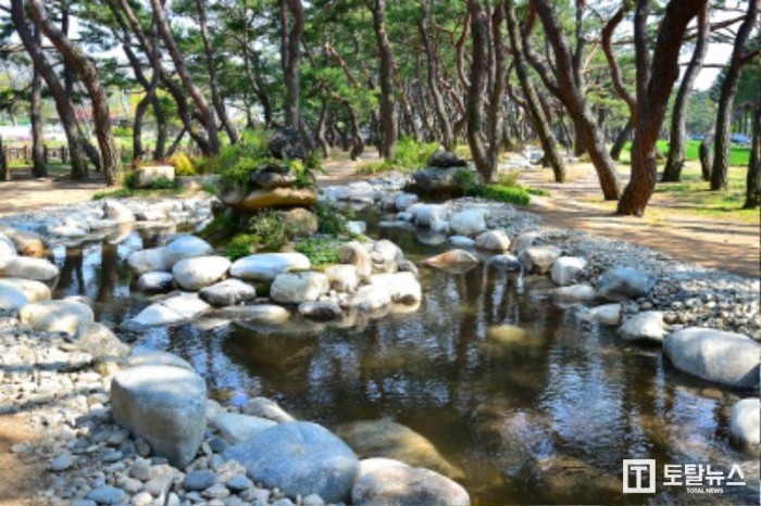 솔밭공원~의림지한방치유숲길 (3).jpg