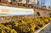 용산동 충주천변 국화꽃향기로 코로나 블루 치유