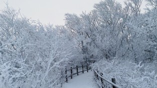 눈꽃왕국 단양 소백산, 겨울 상고대 장관