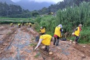 단양군자원봉사종합센터, 피해입은 수박 농가에 복구지원