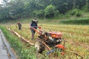 단양군, ‘마늘 수확 농기계 작업’ 확대 추진